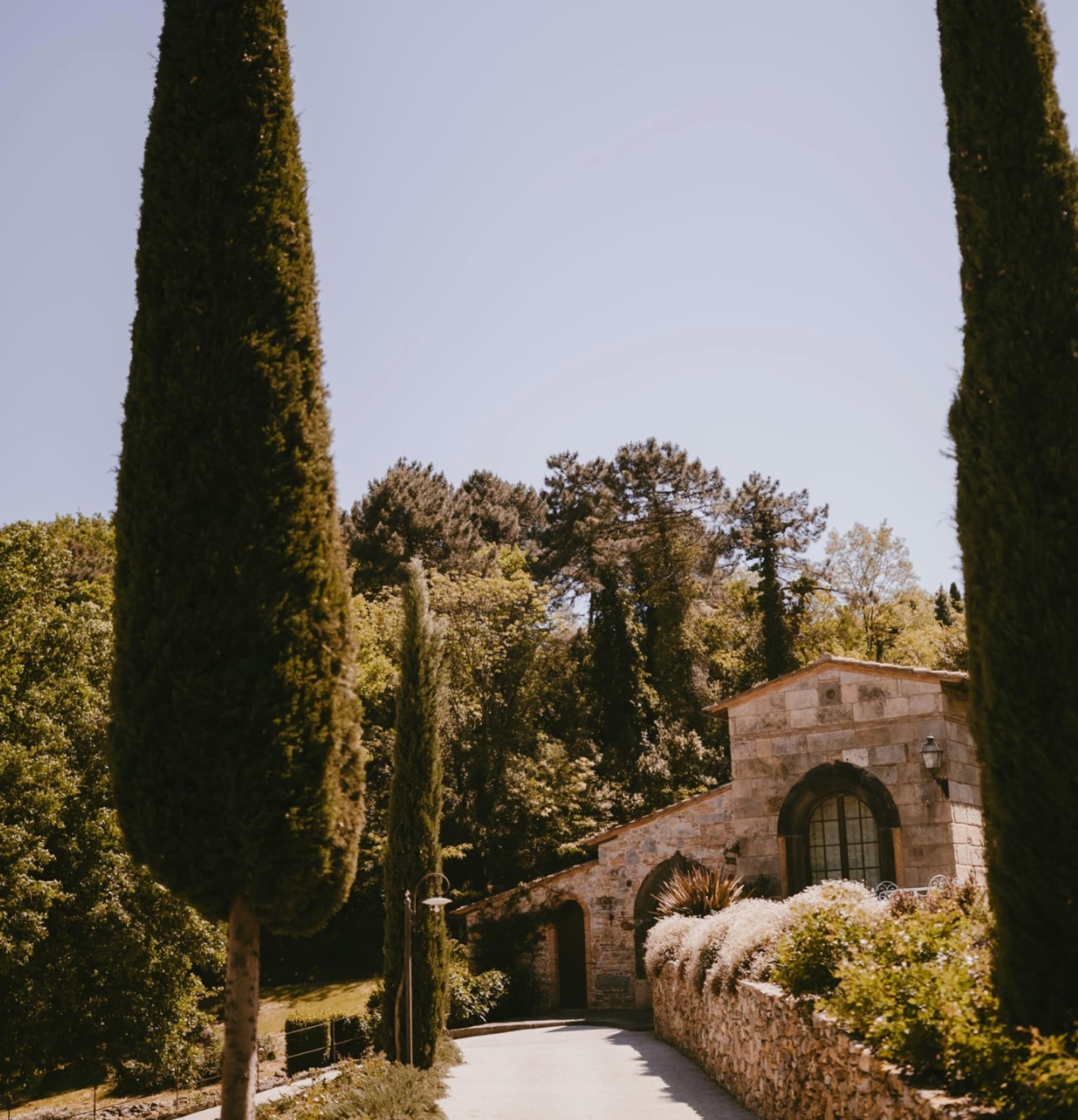 The cypress drive